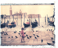 venicew